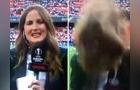 Reportera recibe tremendo pelotazo en la cabeza en plena transmisión en vivo [VIDEO]