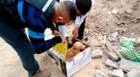 Surco: Brigada Canina del municipio rescata a cuatro perros abandonados en una caja [FOTOS]