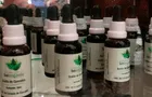 Gobierno promulga ley que autoriza el cultivo de cannabis medicinal en Perú
