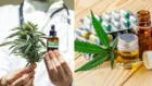 Cannabis medicinal: sepa cuáles son sus beneficios y quiénes lo pueden tomar