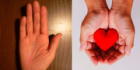 Test viral: Averigua qué dicen las líneas de tus manos ¿encontrarás el amor?