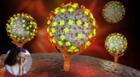 Henipavirus: Aprende a identificar los 12 síntomas del nuevo virus detectado en China