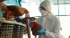 Chile confirma su primer caso humano de gripe aviar: “Se trata de un hombre de 53 años”