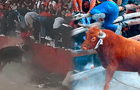 Ayacucho: Corrida de toros deja 6 heridos y 2 de gravedad