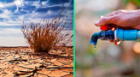 Fenómeno El Niño: 14 regiones en estado de emergencia ante amenaza de quedarse sin agua