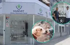 Mascotas: Abren primera clínica veterinaria a costo social en Jesús María