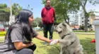 Pueblo Libre: darán clases gratuitas a niños sobre adiestramiento de mascotas