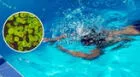 Ameba 'come cerebros': ¿Cuál es su relación con las piscinas y por qué puede ser mortal en menores de edad?