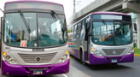 Buses del Corredor Morado de Lima dejaron de operar este 4 de marzo y hacen caravana de protesta