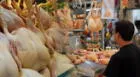 Precio del pollo tiene un descenso de hasta S/2.5 por kilo y sorprende a las amas de casa