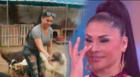 Yolanda Medina se QUIEBRA al presentar en TV su ALBERGUE de perros y hace especial pedido