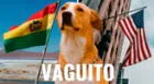 ‘Vaguito: Te esperaré en la orilla' llega a cines de EE.UU. y Bolivia desatando fervor y emoción ¿cuándo es el estreno?