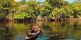 Características de la selva baja 