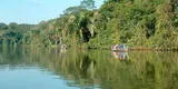 Características de la selva alta