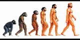 El origen de las especies