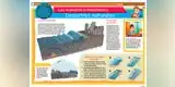 Los tsunamis o maremotos