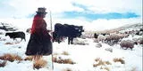 Las heladas 