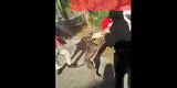 YouTube: pitbull casi devora a mujer por defender a ama