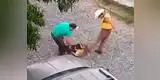 Perrita Foxy: Dos hombres y un pitbull intentaron matarla, pero sobrevivió (VIDEO)