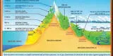 Las 8 regiones naturales del Perú: criterios de su división