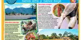 Las 8 regiones naturales del Perú: Selva alta y Selva baja