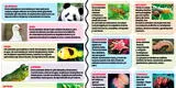 CTA: Animales vertebrados e invertebrados