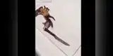 Brasil: querían cocinarlo pero se defendió como en película de acción (VÍDEO)