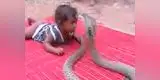 YouTube: dejan a un bebé al cuidado de una cobra y esto pasó (VÍDEO)