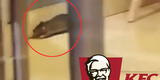 YouTube: graban otra vez a una rata en un local de KFC en Estados Unidos
