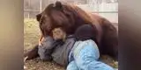 YouTube: cuidador jugaba con oso, pero las cosas terminaron mal (VIDEO)