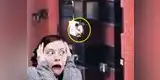 YouTube: amante arriesgó su vida para no ser descubierto por marido (VIDEO)