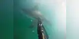 YouTube: Hombre es atacado por un tiburón blanco y lo graba todo con una cámara submarina (VIDEO)
