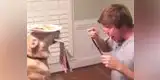 Instagram: El 'mannequin challenge' de un perro causa sensación entre los usuarios  (VIDEO)