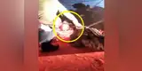 YouTube: cocodrilo ataca a domador y le muerde la cabeza (VIDEO)
