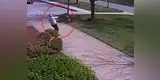 YouTube: Un furioso ganso ataca a un agente de la Policía [VIDEO]