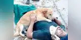 Perro protege a amo que sufre accidente y es sensación en Facebook [FOTOS]