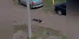 YouTube: Hombre ébrio quiso entregarle rosa a su amada y le pasó algo peor [VIDEO]