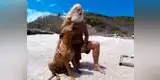 YouTube: era millonario, pero lo perdió todo y ahora vive en una isla con su perro [VIDEO]