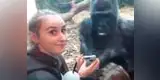 YouTube: 'Jelani', el gorila apasionado a los selfis que asombra al mundo [VIDEOS]