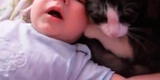 YouTube: Gato enternece al calmar el llanto de una bebé [VIDEO]