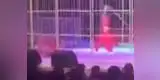 China: domador sufre terrible ataque de un tigre durante show [VIDEO]
