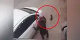 YouTube: Una mujer atropella a un pequeño perro ante la suplica de su dueño [VIDEO]