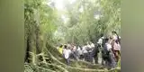 Calendario Cívico: Semana Nacional Forestal