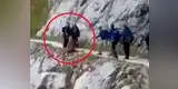 Facebook: Grupo de jóvenes empuja por un barranco a un jabalí [VIDEO]