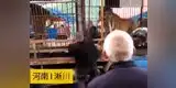 YouTube: Tigre ataca a anciano que lo acariciaba y daba de comer [VIDEO]