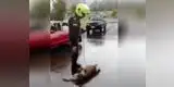 YouTube: Perrito es arrastrado y humillado por policías en una moto [VIDEO] 