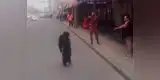 YouTube: Chimpancé se escapa y pasea por ciudad rusa [VIDEO]