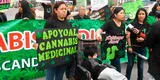 Convocan a marcha por la reglamentación de la marihuana medicinal [VIDEO]