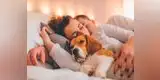Mascotas: 7 razones para dormir junto a tu perro