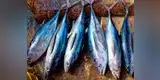 Nutrición: Descubre por qué los futbolistas comen pescado azul 